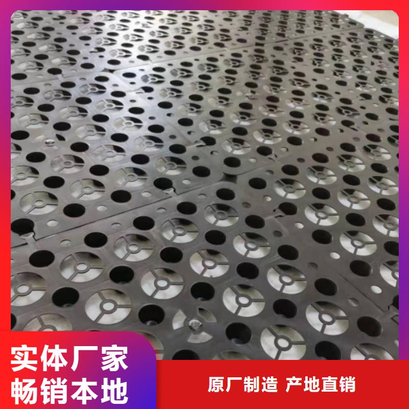 塑料排水板双向塑料土工格栅生产型