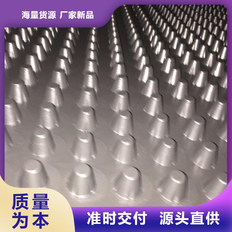 塑料排水板土工席垫品质保障售后无忧