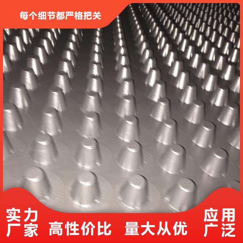 塑料排水板双向塑料土工格栅生产型