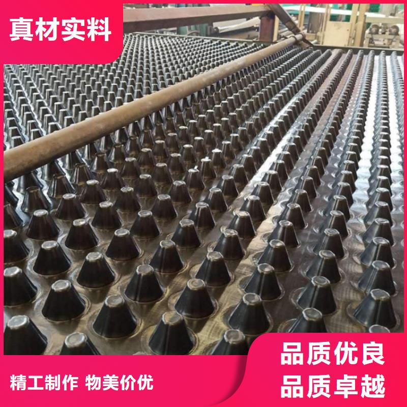 塑料排水板-土工格室价格有优势
