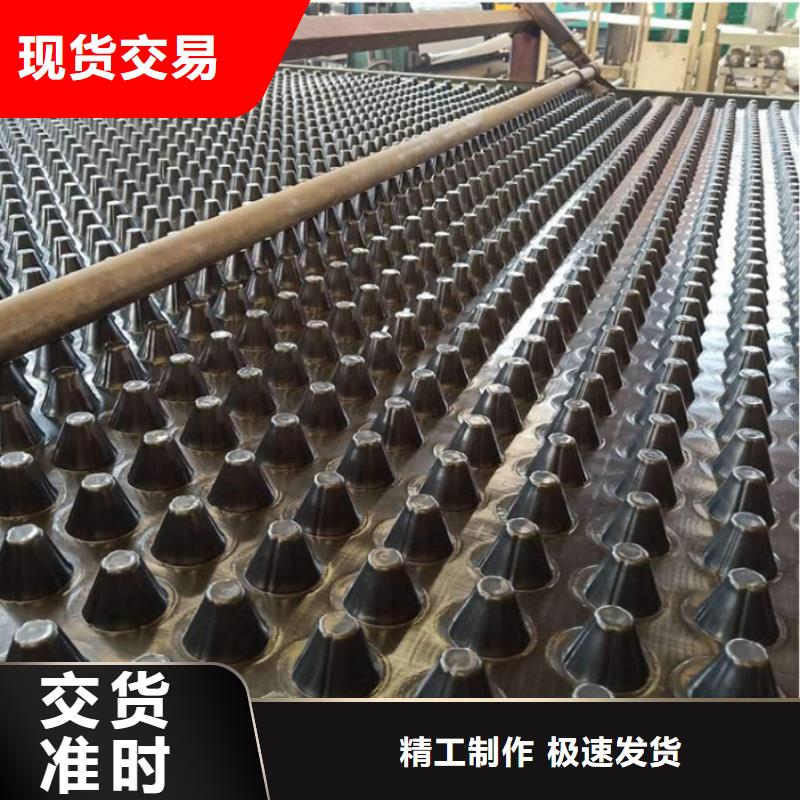 塑料排水板钢塑土工格栅厂家专业按需定制
