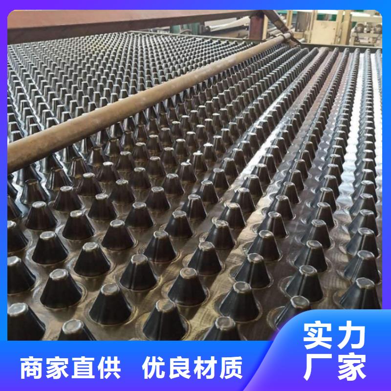 塑料排水板三维植被网厂家选择大厂家省事省心