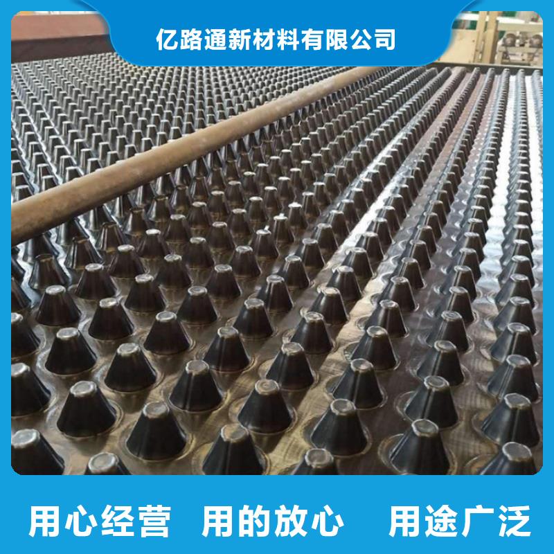 【塑料排水板三维植被网厂家专注生产N年】