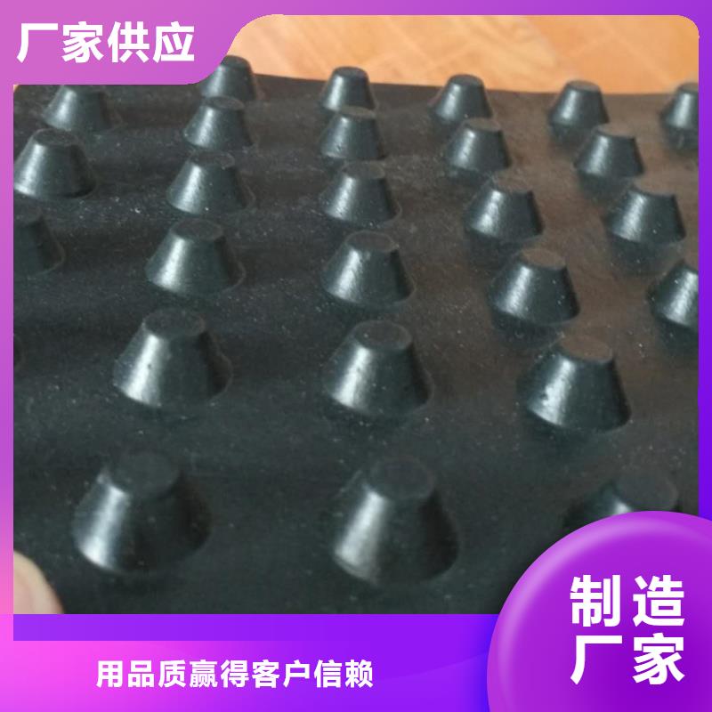 塑料排水板双向塑料土工格栅生产型