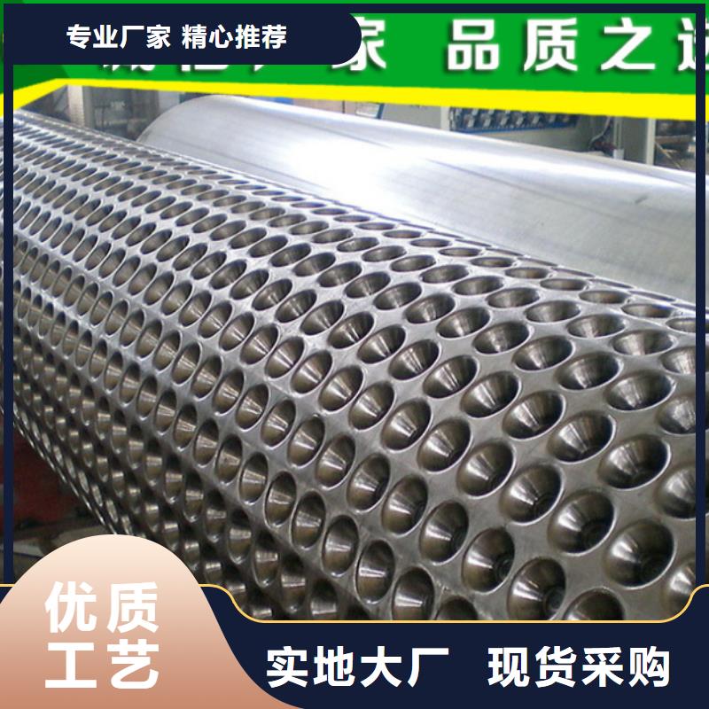 塑料排水板单向塑料土工格栅实体厂家支持定制