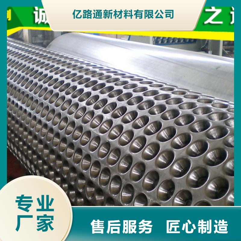 塑料排水板单向塑料土工格栅实体厂家支持定制