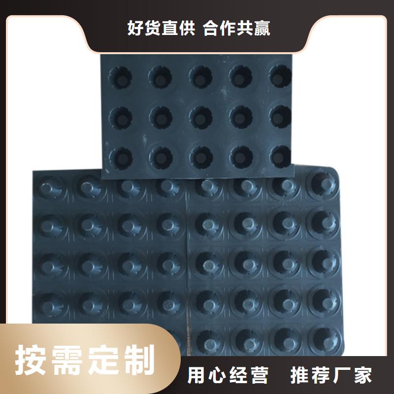 塑料排水板_三维植被网厂家源头厂家量大价优
