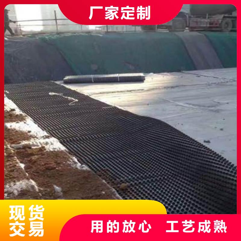 塑料排水板单向塑料土工格栅实体厂家支持定制