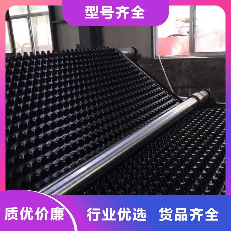 【塑料排水板土工膜一手价格】