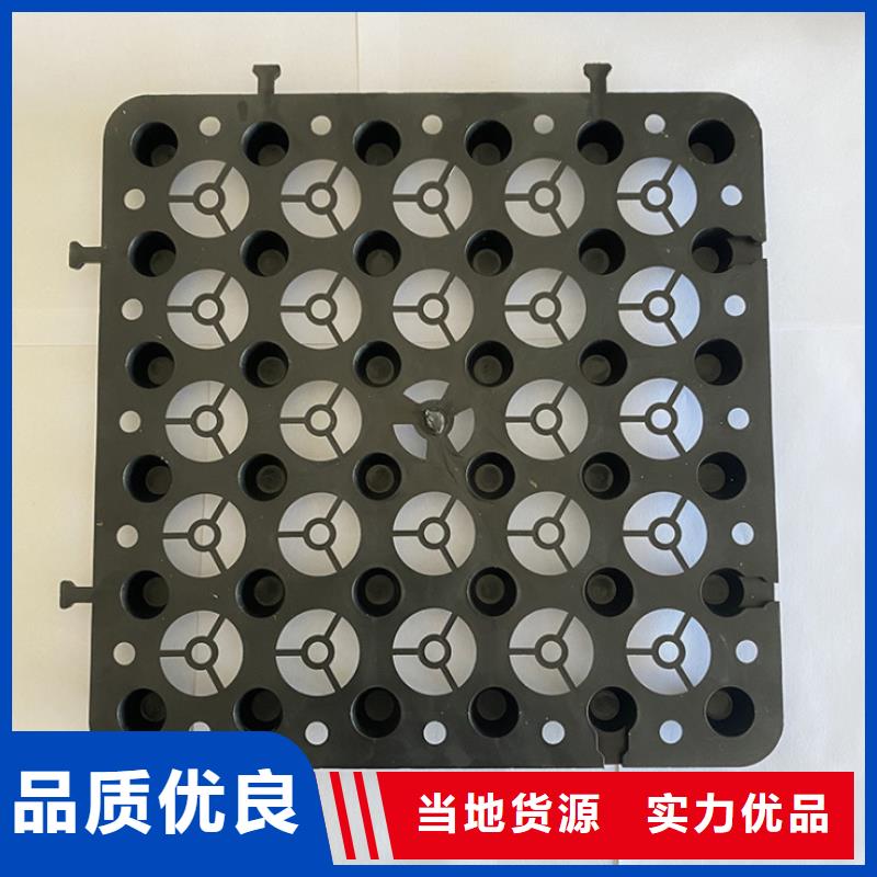 塑料排水板单向塑料土工格栅实体厂家支持定制