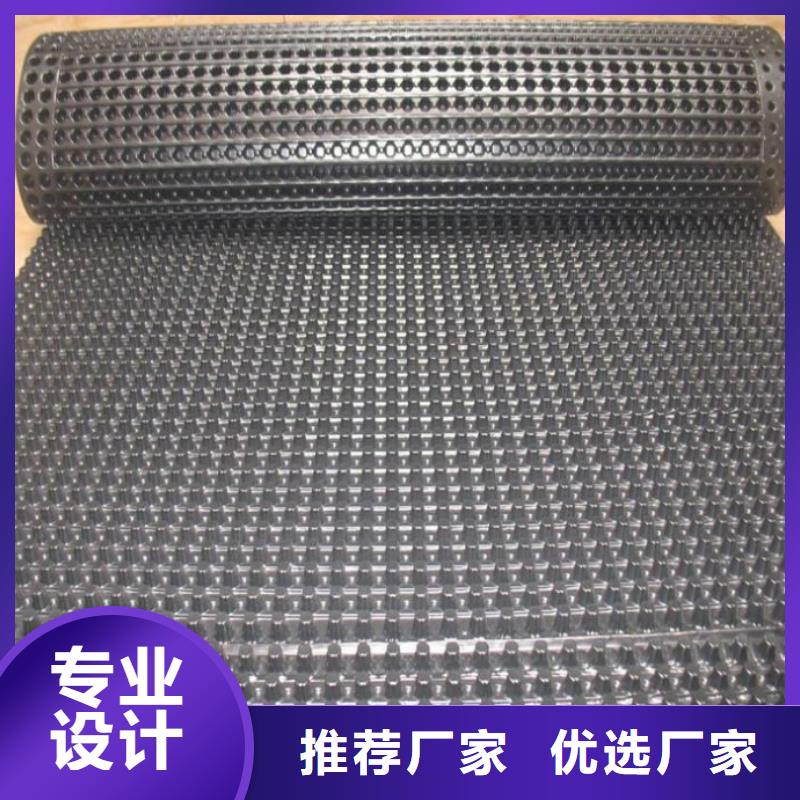 塑料排水板单向塑料土工格栅实体厂家支持定制