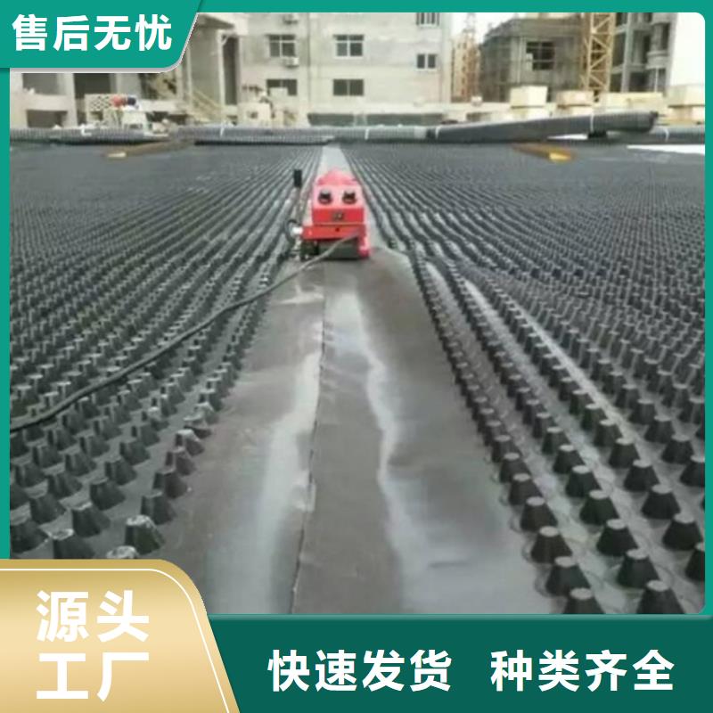 塑料排水板聚丙烯双拉土工格栅真材实料加工定制