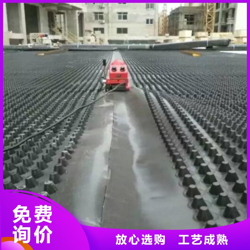 塑料排水板单向塑料土工格栅实体厂家支持定制