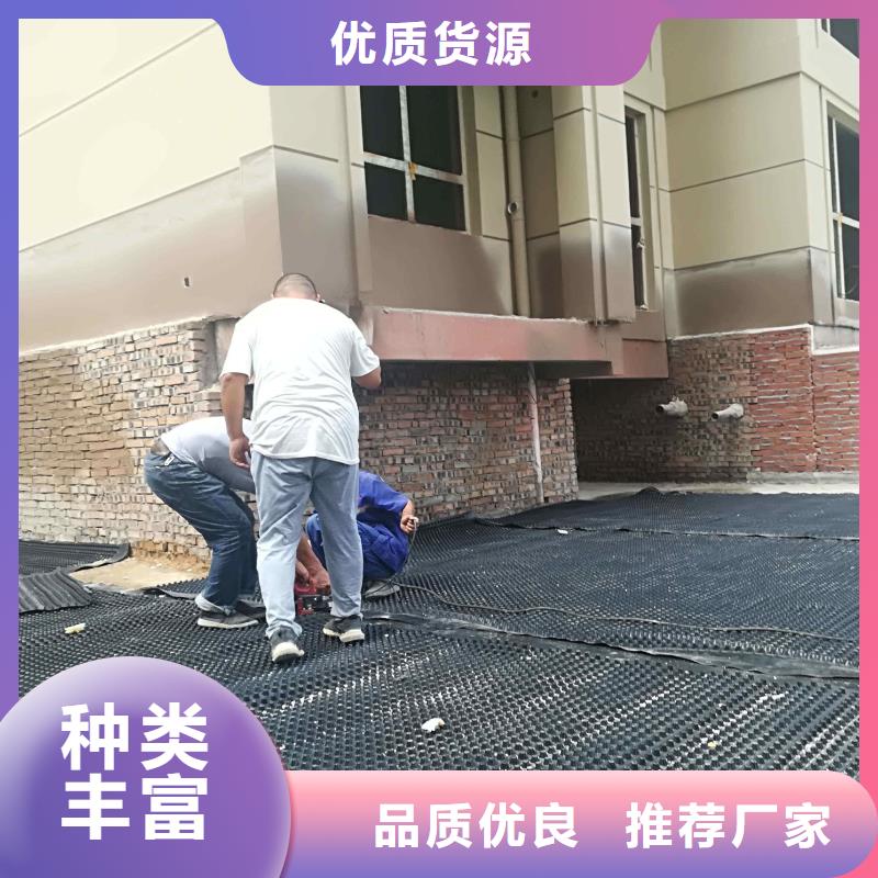 塑料排水板单向塑料土工格栅实体厂家支持定制