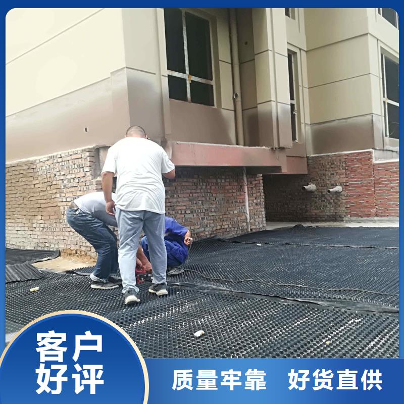 塑料排水板-土工格室价格有优势