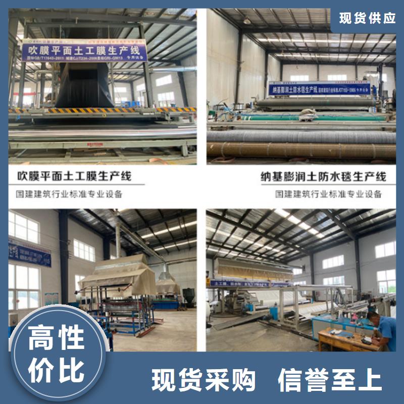 【防水毯涤纶土工格栅超产品在细节】