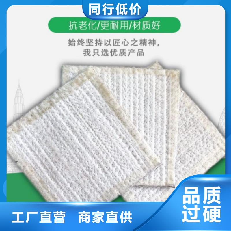 防水毯_土工膜原厂制造