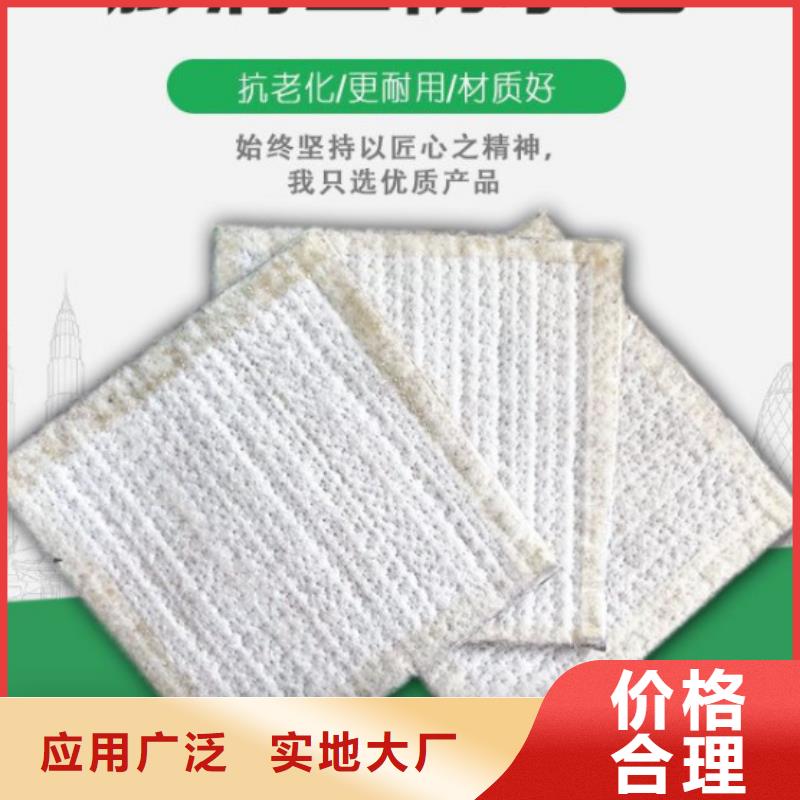 【防水毯_钢塑土工格栅标准工艺】