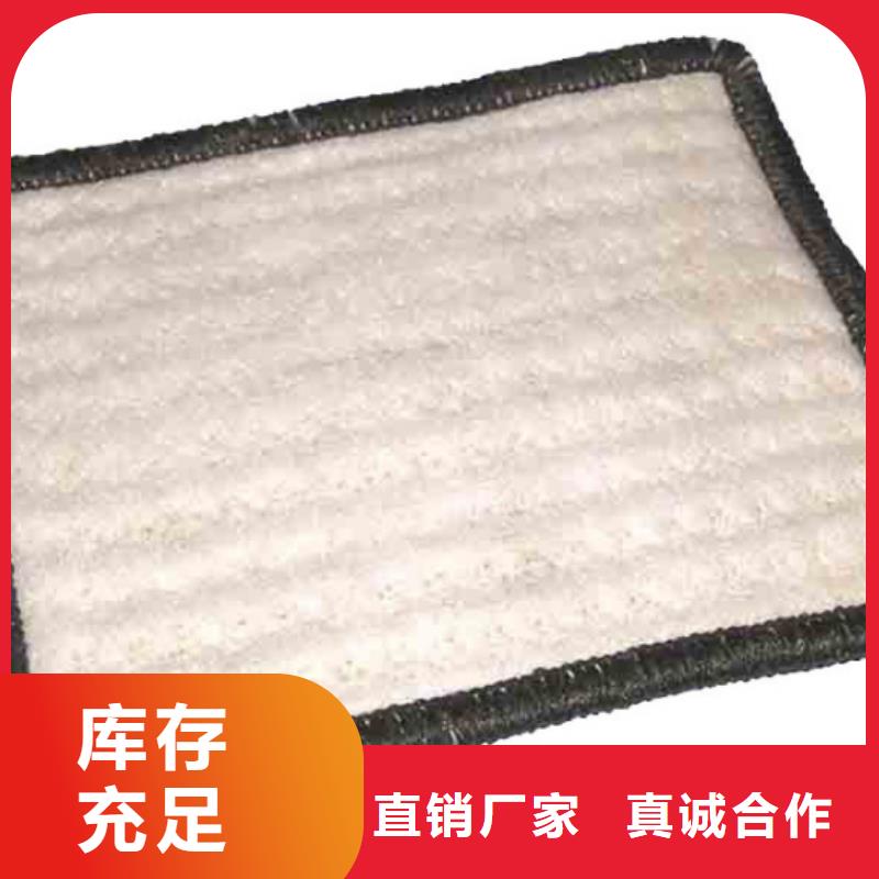 防水毯双向塑料土工格栅工艺精细质保长久