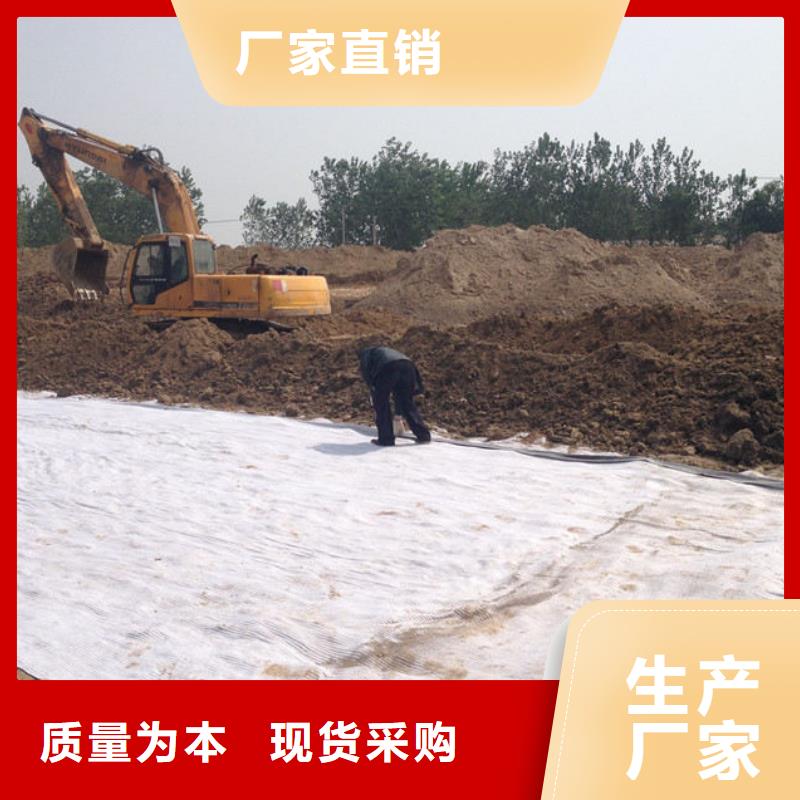 防水毯单向塑料土工格栅来图定制