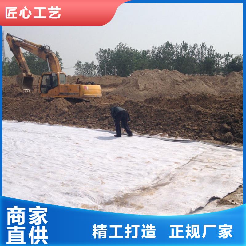 防水毯_钢塑土工格栅厂家可定制