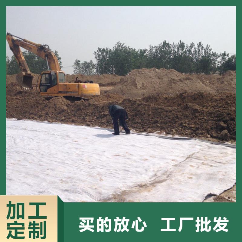 防水毯双向塑料土工格栅工艺精细质保长久