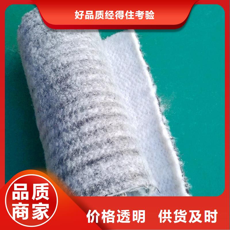 防水毯单向塑料土工格栅出厂价