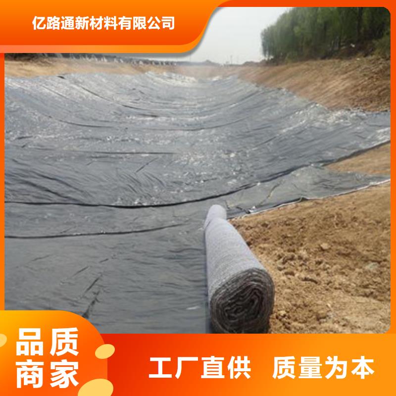 防水毯双向塑料土工格栅工艺精细质保长久