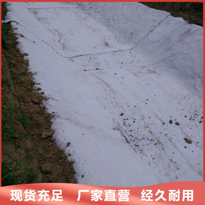 防水毯-【长丝无纺土工布】多种优势放心选择