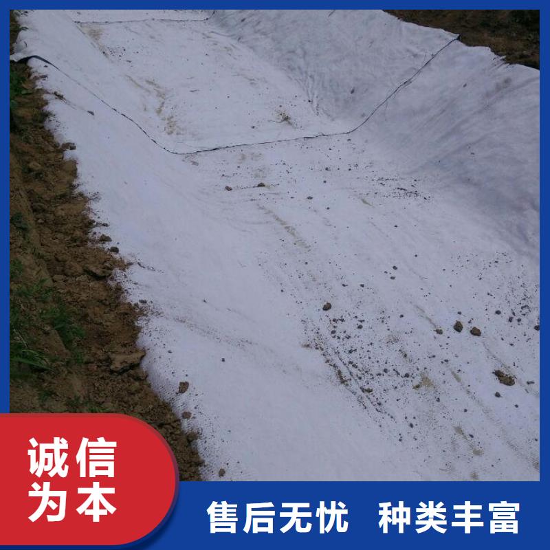 防水毯三维土工网垫专业厂家