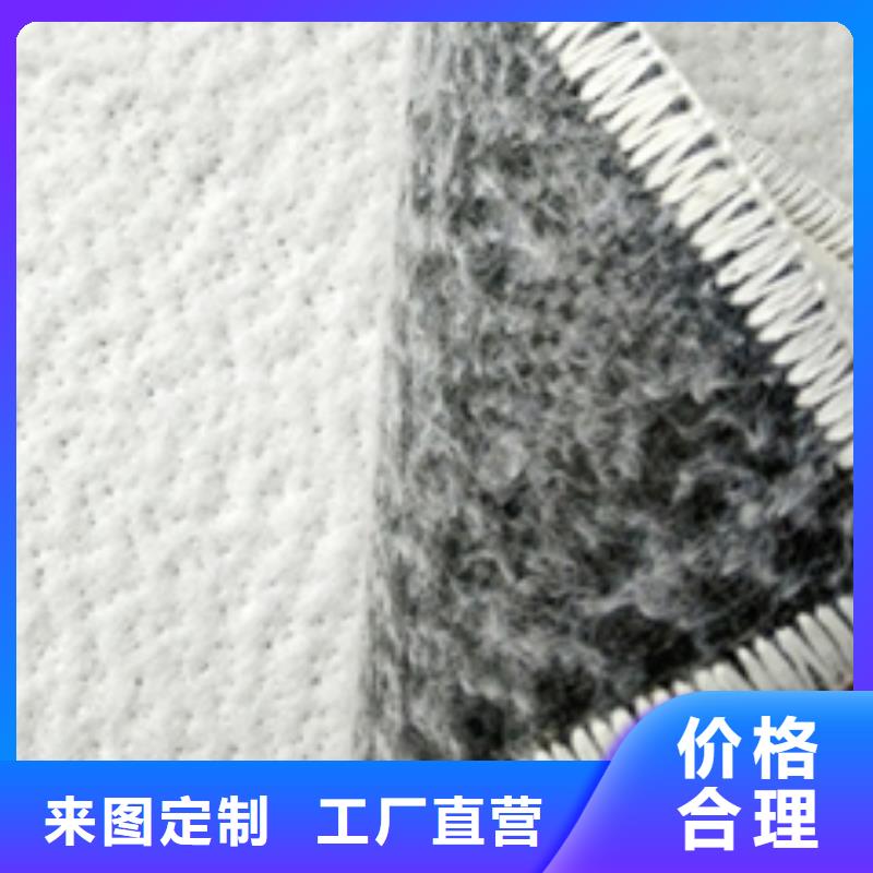 防水毯_土工膜原厂制造