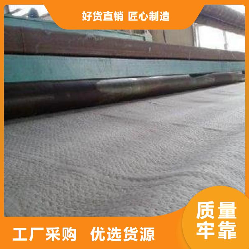 【防水毯】聚丙烯双拉土工格栅可零售可批发