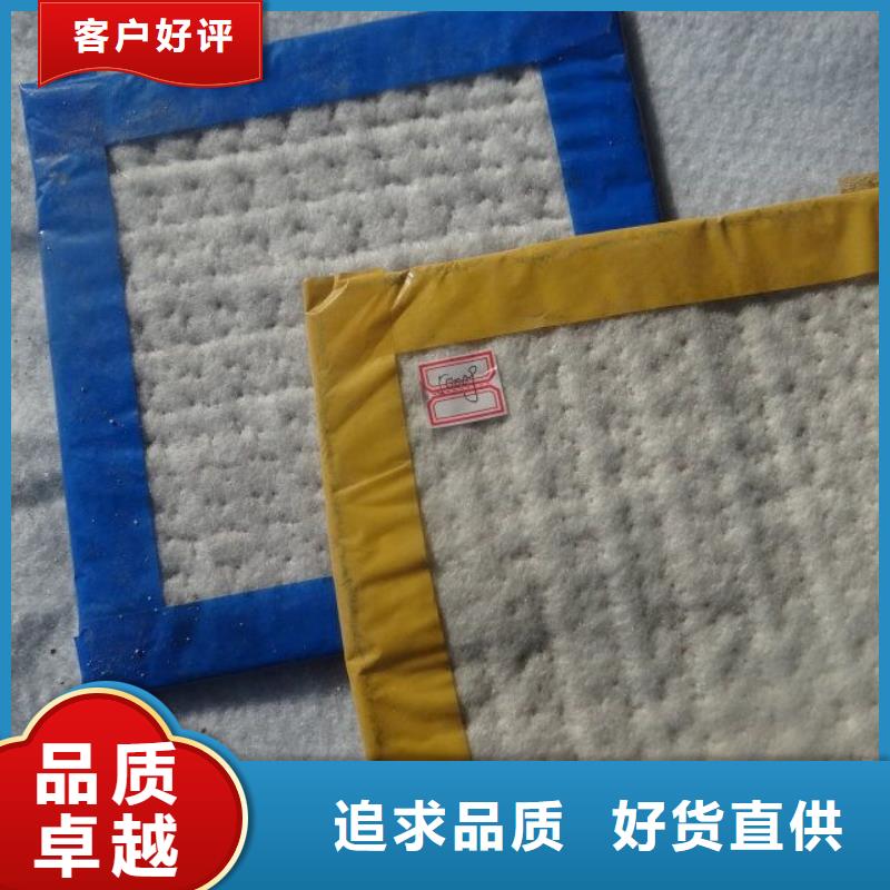 防水毯多向塑料土工格栅量少也做