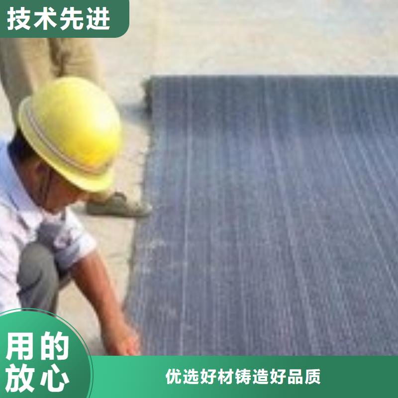 防水毯【涤纶土工格栅】发货迅速