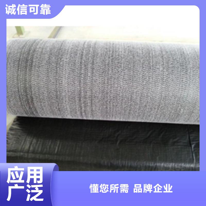 防水毯复合土工膜大品牌值得信赖