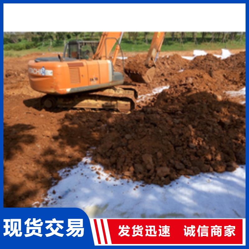 防水毯玻纤土工格栅厂家批发价