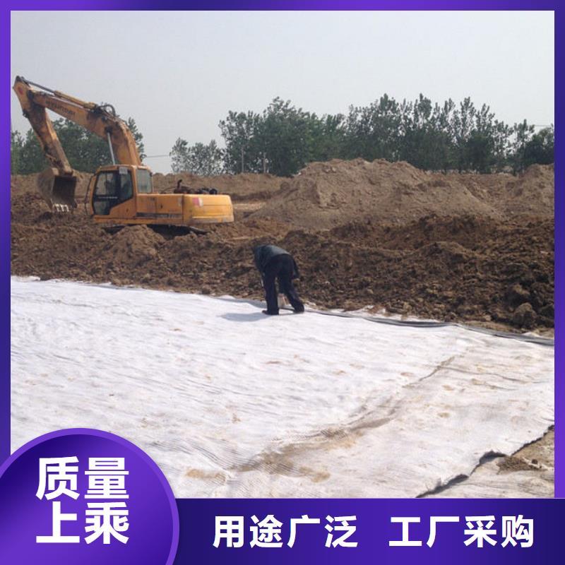 防水毯,双向塑料土工格栅今日价格