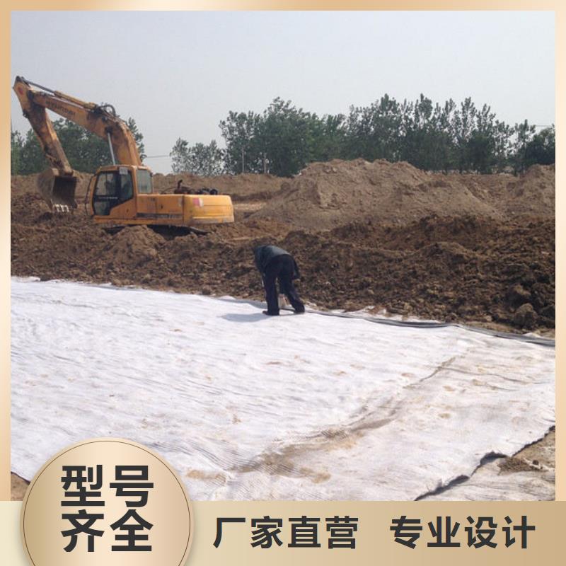 防水毯-【长丝无纺土工布】多种优势放心选择