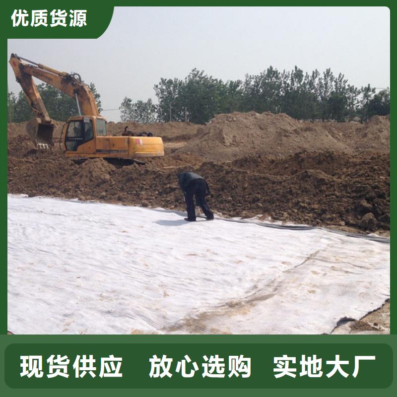 【防水毯聚丙烯双拉土工格栅支持拿样】