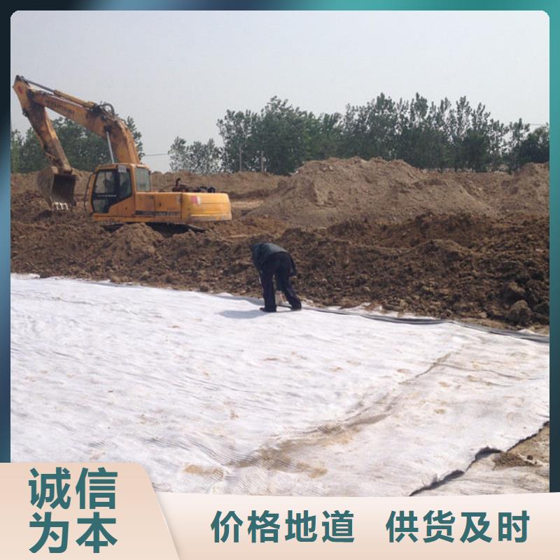 防水毯单向塑料土工格栅实时报价