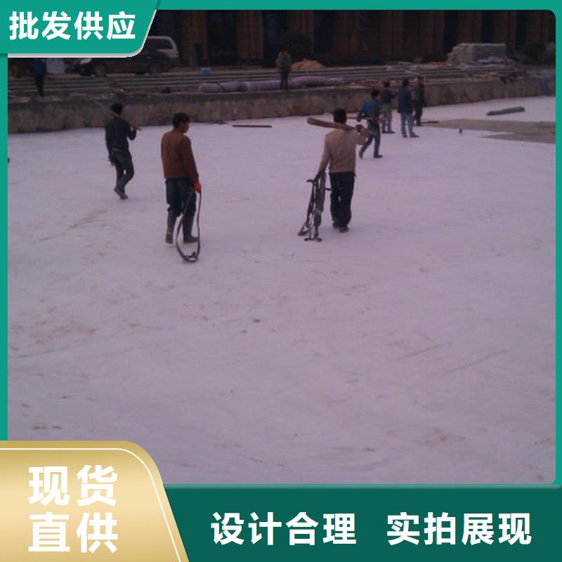 防水毯钢塑土工格栅我们更专业