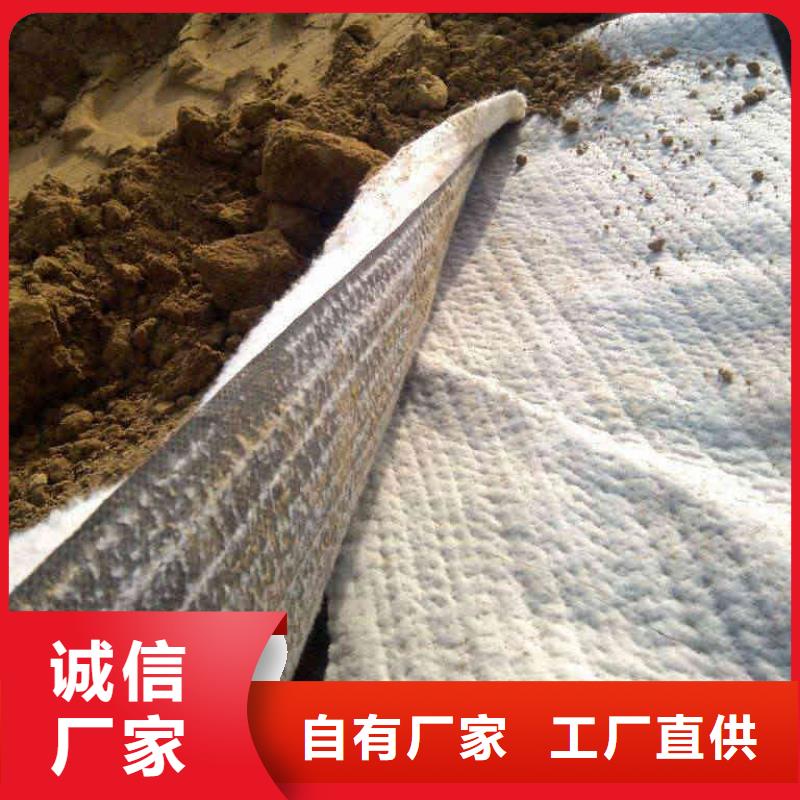 防水毯三维植被网厂家销售的是诚信