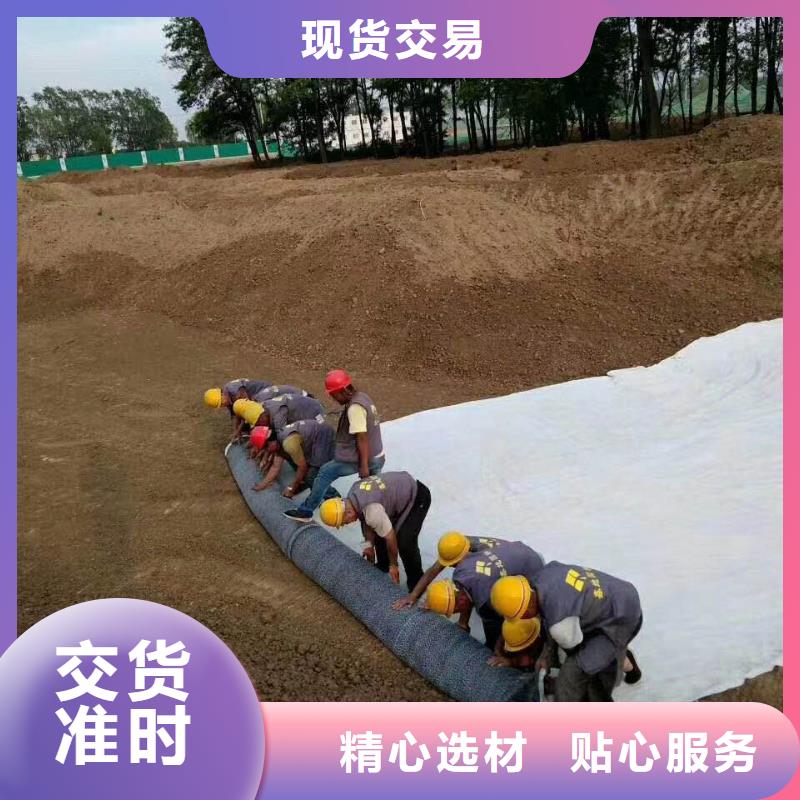 防水毯【复合土工膜】厂家采购