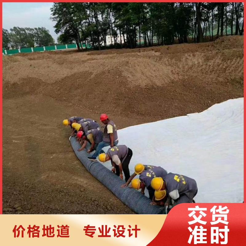 防水毯三维植被网厂家订制批发
