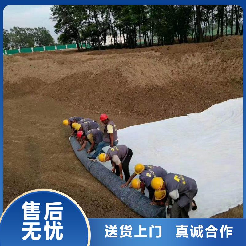 【防水毯】钢塑土工格栅的图文介绍