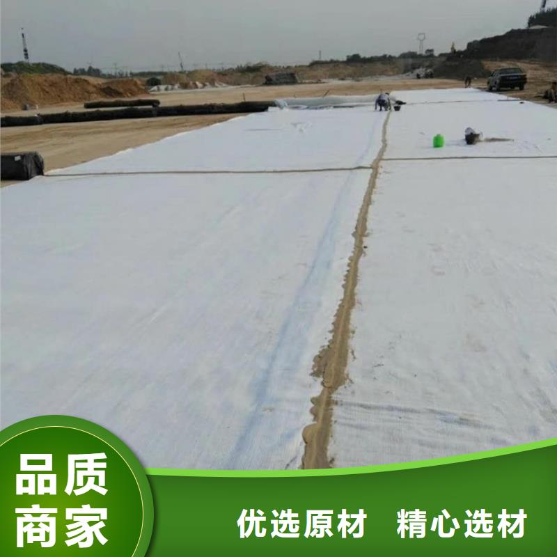 防水毯【单向塑料土工格栅】拒绝伪劣产品