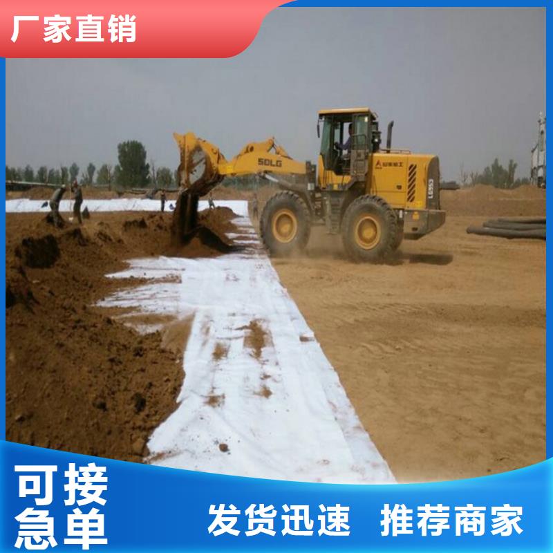 防水毯_土工格室买的放心安兴用的舒心