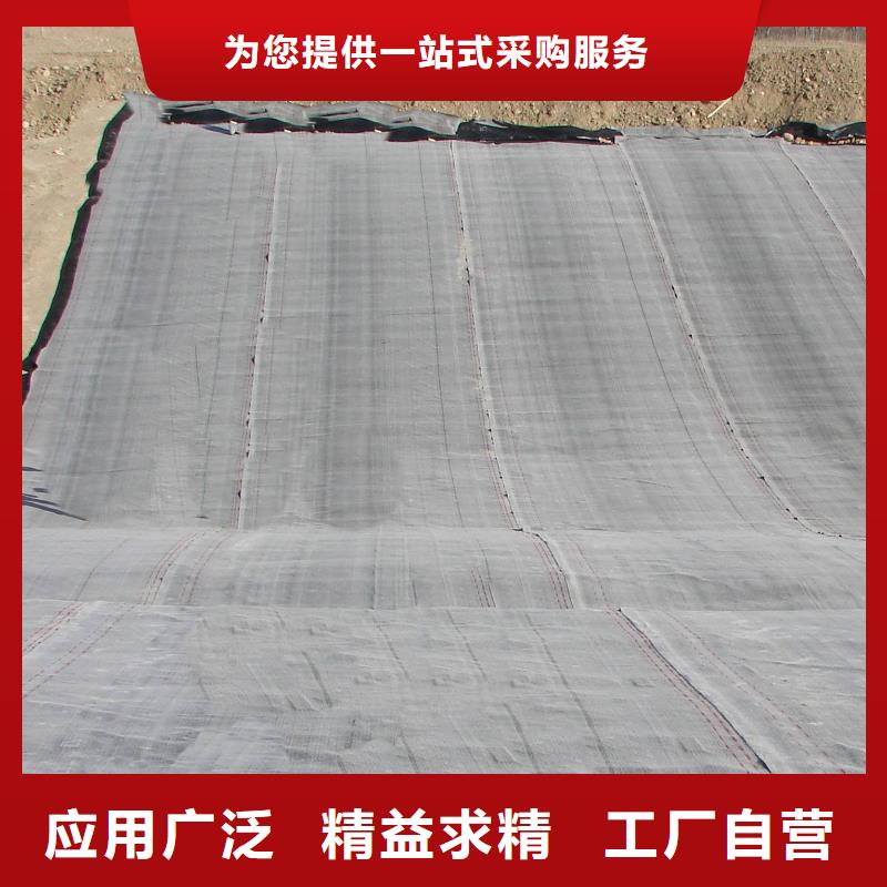 【防水毯膨润土防水毯放心得选择】