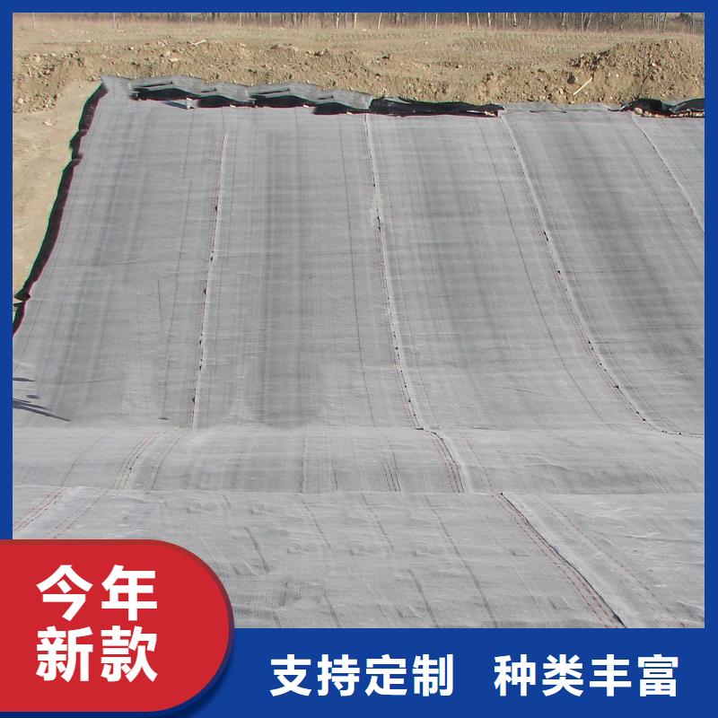 防水毯护坡土工网追求品质