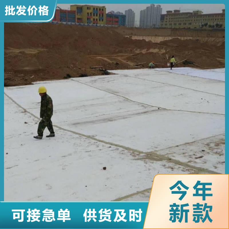 防水毯双向塑料土工格栅工艺精细质保长久